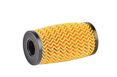 BSG 65-140-004 | Yağ Filtresi