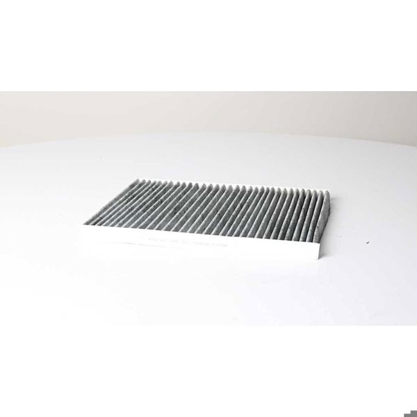 BSG 65-145-017 | Polen Filtresi Karbonlu