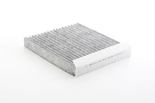 BSG 65-145-025 | Polen Filtresi Karbonlu