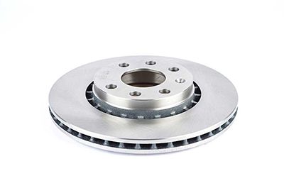 BSG 65-210-002 | Fren Diski Ön Adet 256X20