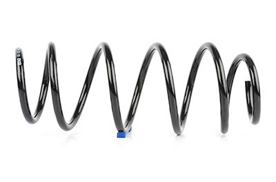 BSG 65-305-002 | Helezon Yayı Ön