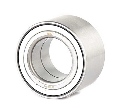 BSG 65-605-013 | Porya Rulmanı Arka Poryasız