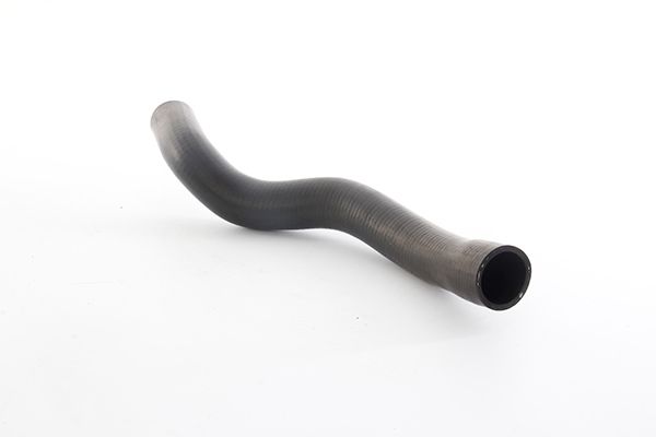 BSG 65-720-021 | Radyatör Hortumu Alt