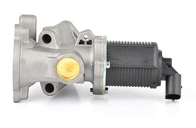 BSG 65-836-008 | EGR Valfi
