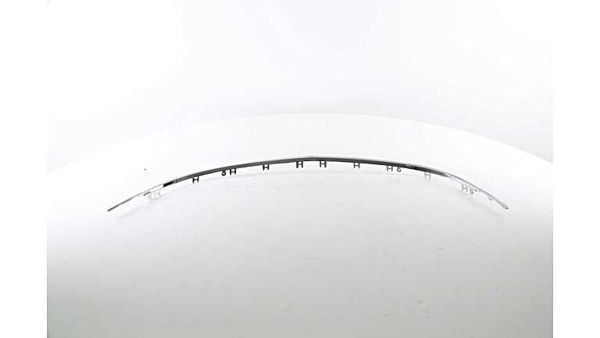 BSG 65-922-101 | Ön Tampon Alt Panjur Nıkelajı