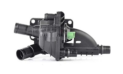 BSG 70-126-004 | Termostat