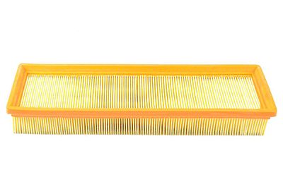 BSG 70-135-004 | Hava Filtresi