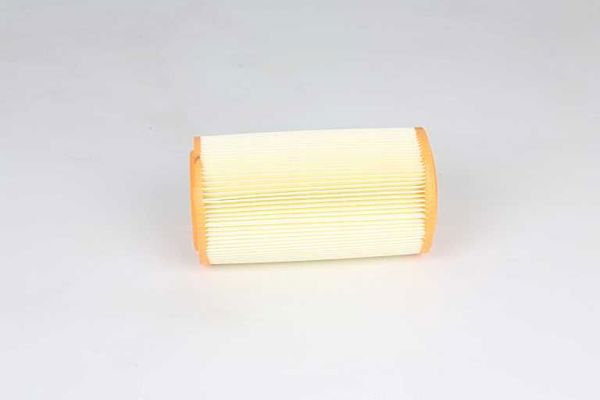 BSG 70-135-018 | Hava Filtresi