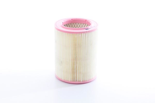 BSG 70-135-021 | Hava Filtresi