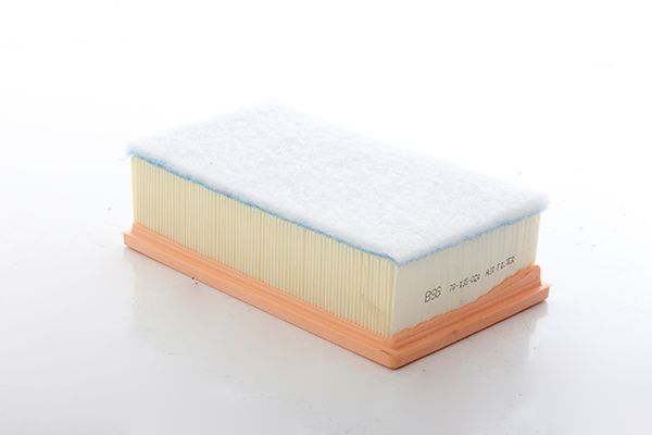 BSG 70-135-024 | Hava Filtresi