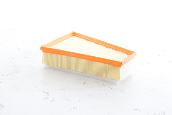 BSG 70-135-030 | Hava Filtresi