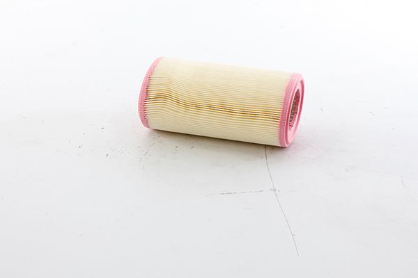 BSG 70-135-037 | Hava Filtresi