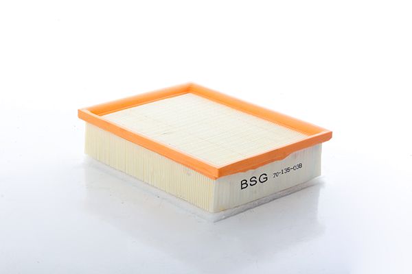 BSG 70-135-038 | Hava Filtresi