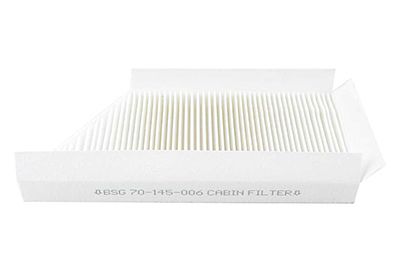 BSG 70-145-006 | Polen Filtresi Karbonsuz