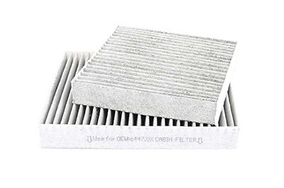 BSG 70-145-012 | Polen Filtresi Çıftlı (Karbonlu)