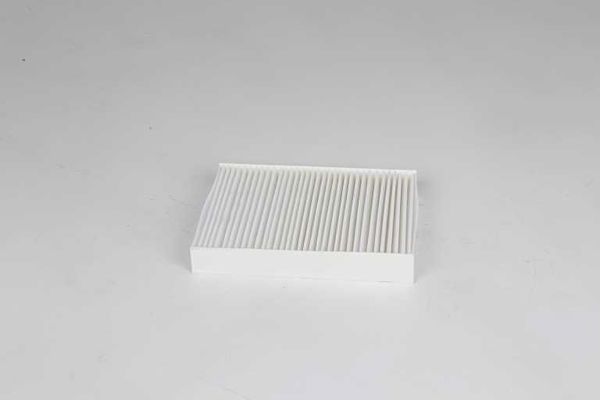 BSG 70-145-024 | Polen Filtresi