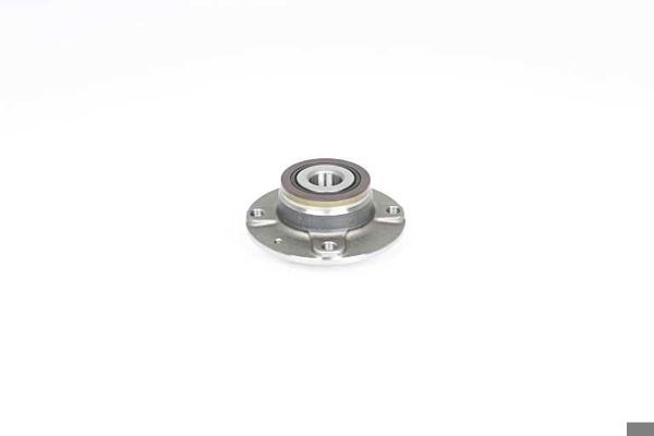 BSG 70-600-019 | Porya Arka Abs`Lı (Rulmanlı)