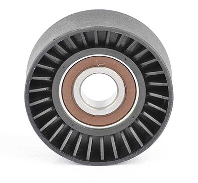 BSG 70-615-012 | V Kayış Gergi Rulmanı