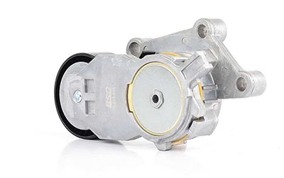 BSG 70-615-018 | V Kayış Gergi Rulmanı Kütüklü (Komple)