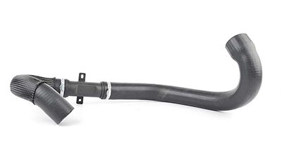 BSG 70-720-060 | Turbo Hortumu