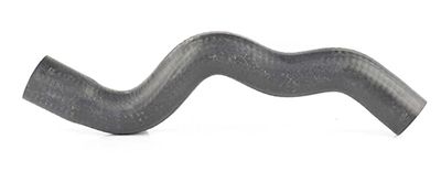 BSG 70-720-165 | Radyatör Hortumu Alt