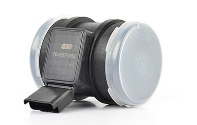 BSG 70-837-002 | Hava Debimetresi