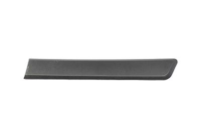 BSG 70-924-008 | Kapı Kuşağı Arka Sol  Bipper / Nemo 1.4 HDI 06-