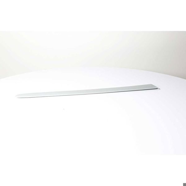 BSG 70-925-008 | Kapı Bandı Arka Sağ (Boyanır) 206 B.M 00-