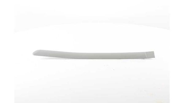 BSG 70-925-012 | Kapı Bandı Arka Sol (Boyanır)