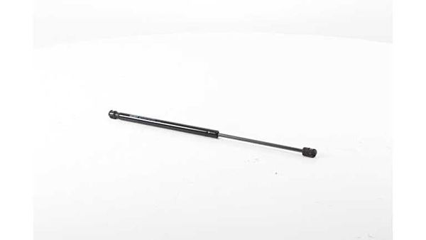 BSG 70-980-024 | Bagaj Amortisörü  607 B.M 00-