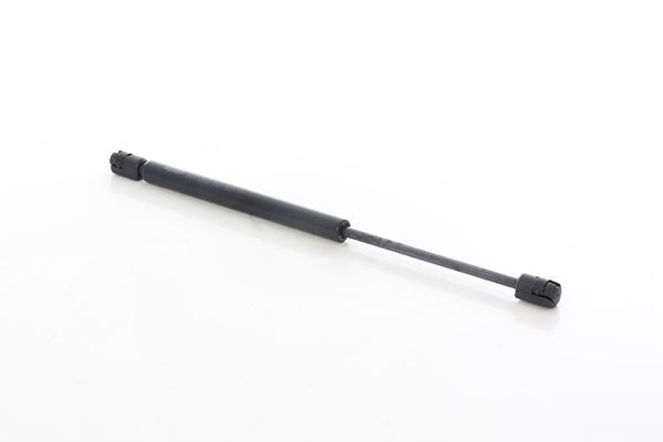BSG 70-980-038 | Bagaj Amortisörü