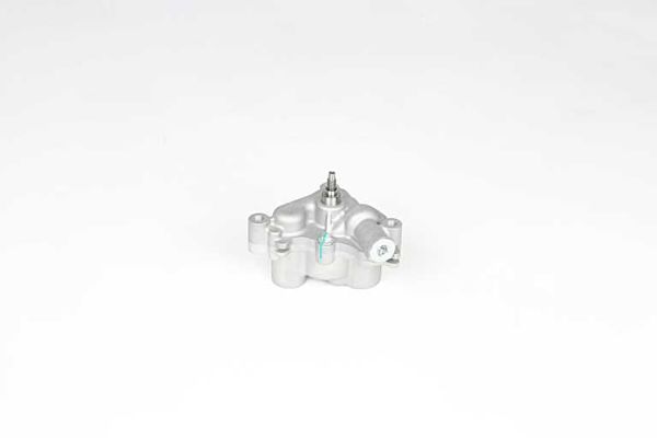 BSG 75-101-002 | Yağ Pompası