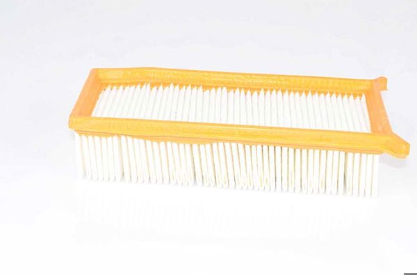 BSG 75-135-008 | Hava Filtresi Kulaklı (*Keçelı*)