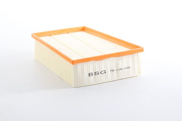 BSG 75-135-026 | Hava Filtresi