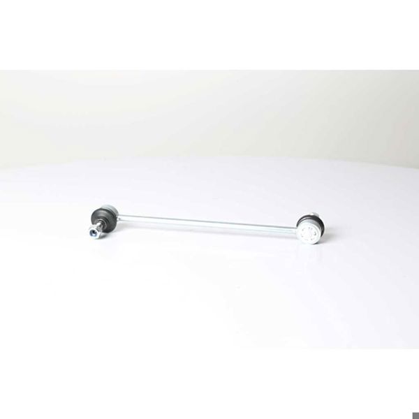 BSG 75-310-079 | Viraj Askı Rotu Ön Sağ-Sol