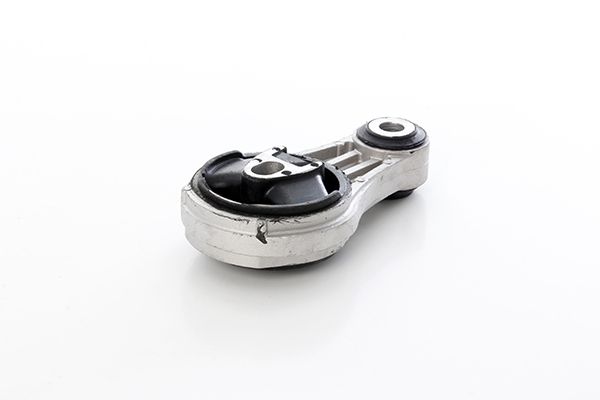 BSG 75-700-117 | Şanzıman Takozu