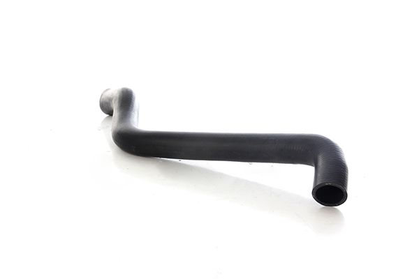 BSG 75-720-097 | Radyatör Hortumu Alt  R19 1.4 E7j 88-