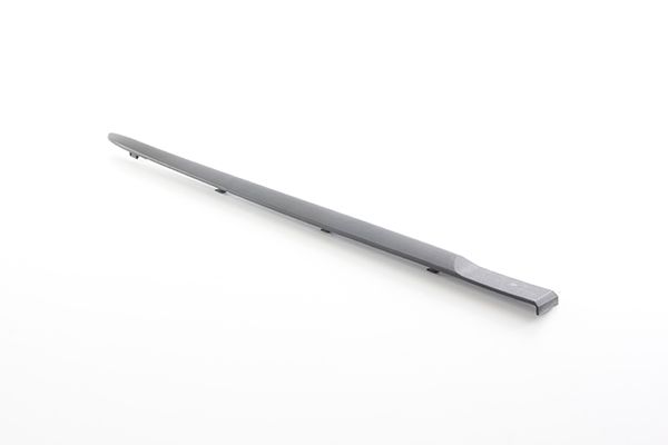BSG 75-924-005 | Kapı Bandı Arka Sağ  Clio III Bm 05-