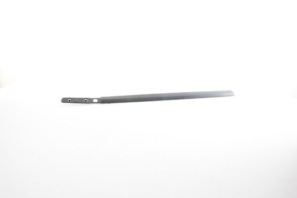 BSG 75-924-013 | Kapı Bandı Ön Sağ