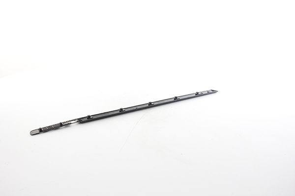 BSG 75-924-017 | Kapı Bandı Ön Sol  Clio III Bm 05-