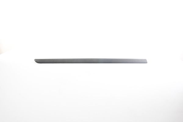 BSG 75-924-019 | Kapı Bandı Ön Sol Armasız Megane II Bm 05-