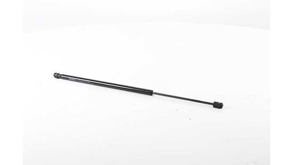 BSG 75-980-005 | Bagaj Amortisörü  Megane Scenic 95 (Ja0_) {4} Bm 95-