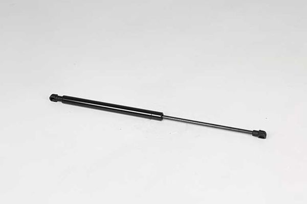 BSG 75-980-011 | Bagaj Amortisörü