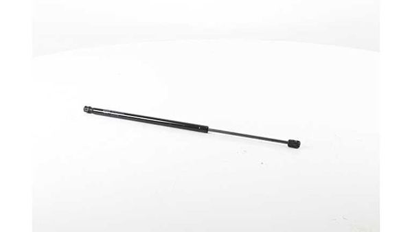 BSG 75-980-024 | Motor Kaput Amortisörü  Duster / Duster Panelvan/Van Bm 10-