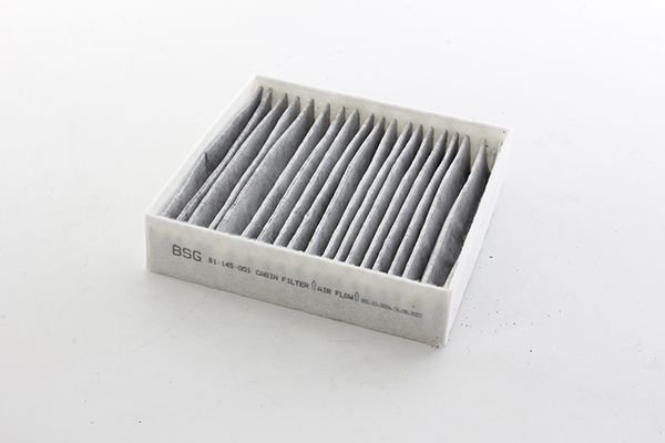 BSG 81-145-001 | Polen Filtresi