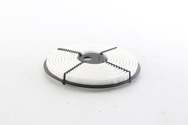 BSG 85-135-003 | Hava Filtresi .