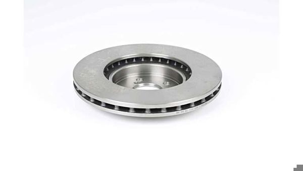 BSG 85-210-004 | Fren Diski Ön