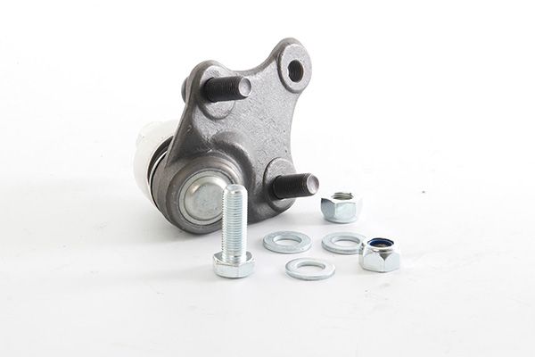 BSG 85-310-022 | Rotil Alt