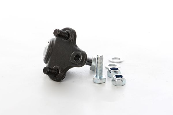 BSG 85-310-029 | Rotil Alt