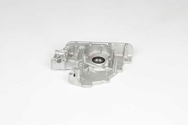 BSG 90-101-011 | Yağ Pompası 101225